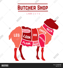 Lamb Mutton Cuts Vector Photo Free Trial Bigstock