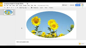 Jan 20, 2020 · using your mouse or trackpad, select the parts of your image you'd like to keep. Crop Images In Google Slides Youtube