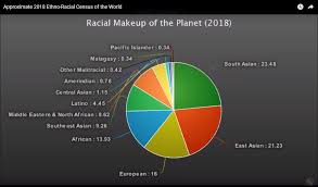 Race Pie Chart Of The World Www Bedowntowndaytona Com