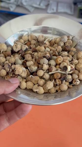 Benefits of Paneer Phool 1. Helps Manage Blood Sugar Levels One of the  widely asserted benefits of paneer phool has been in maintaining blood  sugar in the body. The exact mechanism of