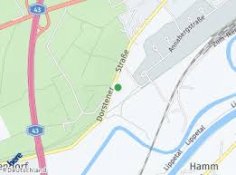 Every saturday and sunday you can order and pick up delicious food! Reis In Asia Restaurant From Haltern Am See Menu