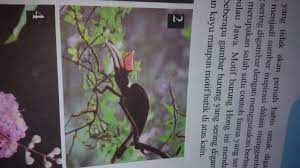 23 juli 2021 11 min read. Apa Nama Burung Yg Ada Pada Gambar Brainly Co Id