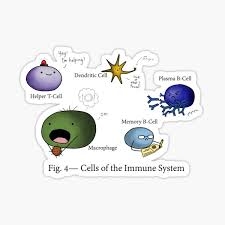 Immune System Stickers Redbubble