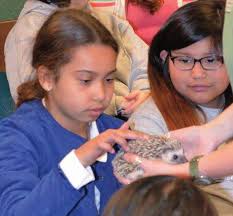 MAKING A DIFFERENCE 2017-2018