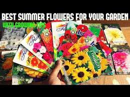 But, before you dive in, it is helpful to know a little more about the different varieties that are available. Top Summer Flowers For Your Garden With All Care Tips In 2021 Summer Flowers Cosmos Flowers Flowers