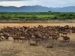 Credit information provide credit reports of companies incorporated under the companies act 2016. Turning Kampung Bomboi Keningau Into Agro Tourism Destination A Geraldine