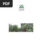 Image result for Eriochloa macclounii