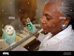 Organismi fungini immagini e fotografie stock ad alta risoluzione