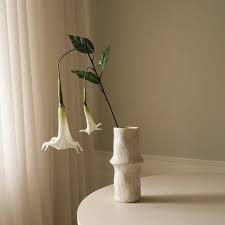 Image result for Datura