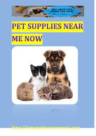 It is the goal of puppies galore & more to match the correct puppy or pet with the correct family for years of enjoyment. Calameo Pet Supplies Near Me Now Pet Supplies Near Me Now The Best Pet Store Near Me Now
