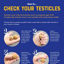 If a lump or other sign of testicular cancer is found, testing will be needed to look for the cause. Testicular Cancer Irish Cancer Society