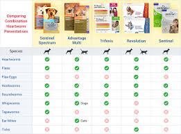 Choosing The Best Heartworm And Flea Prevention 1800petmeds
