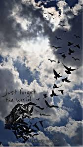 pin by khaldoun al aydi on photo photography inspiration portrait aesthetic pictures learning photography