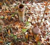Image result