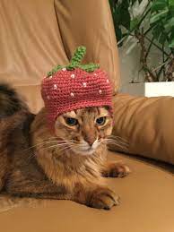 Pin By Sakutaro88 On All Cats Hat For Cat Crochet For Cats Cat Hat