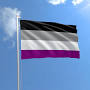 Asexual flag from grpride.org