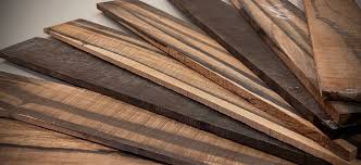 Image result for Diospyros crassiflora