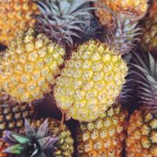 Uptoaustralia On Instagram Ananas Victoria Holiday Lareunion Food 974 Pineapple Fruit Instagram Posts