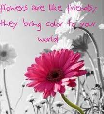 Flowers Are Like Life Love Inspiring Friends Everywhere