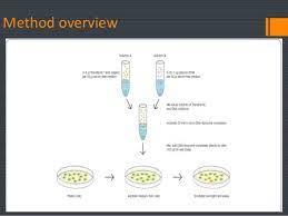 Check spelling or type a new query. Transfection