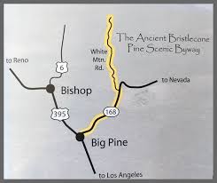Ancient Bristlecone Pine Forest Bishop Visitor Information Center Bristlecone Pine Forest Bristlecone Pine Pine Forest
