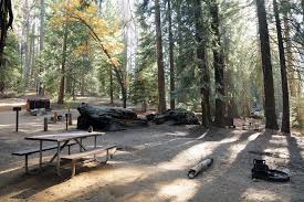 A popular spot for rv camping near sequoia national park, lodgepole campground, is located just two miles from the giant forest, where visitors can walk among the sequoias. Camping In And Around Sequoia And Kings Canyon Moon Travel Guides