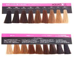 Aquador Wig Color Chart Wgcc001 Wig Color Chart Cosplay Wick Wig Or Wigs Hair