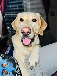 He's such good boy. And so handsome.