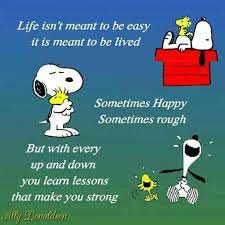 Pin On Snoopy