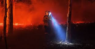 Vissa är anlagda, medan andra är naturliga. Australien Flammar In I Pyrozene Eldaldern