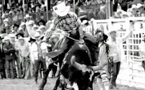 Check spelling or type a new query. Lane S Last Ride News