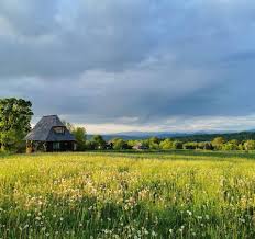 14:00, odhlásiť pobyt najneskôr (do): Adrian Naidin CantÄƒ In AceastÄƒ VarÄƒ La Casa Din Vale Breb EziarultÄƒu