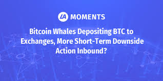 Bitcoin Whales Depositing Btc To Exchanges More Short Term Downside Action Inbound Latoken Moments