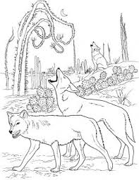 Hours of fun await you by coloring a free drawing animals coyote. Pin On 3rd Grade Science