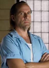 Hear me out. If the Simpsons made a parody of S1 : r/PrisonBreak