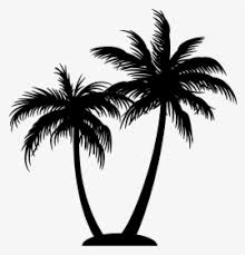 Vector illustration of two colored and black eastern cottonwood tree vector icons designs can be used for mobile, ui, web. Black Palm Tree Png Images Free Transparent Black Palm Tree Download Kindpng