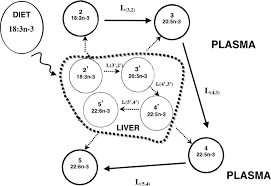 When it came time to give my son mason formula, we were completely overwhelmed by all the choice. Physiological Compartmental Analysis Of A Linolenic Acid Metabolism In Adult Humans Journal Of Lipid Research
