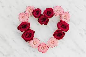 صور ورد واجمل صور ورود وزهور وازهار طبيعية جميلة ورائعة zina blog red rose flower flower arrangements beautiful roses