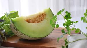 Most cat owners ask this question: Can Dogs Eat Honeydew Melon Healthy Paws Pet Insurance