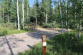 Maybe you would like to learn more about one of these? Duck Creek Dixie National Forest Recreation Gov
