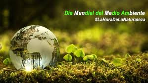 Día mundial del medio ambiente 2020 y biodiversidad. Dia Mundial Del Medio Ambiente Hoy Es Lahoradelanaturaleza Chile Desarrollo Sustentable