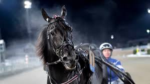 On sunday afternoon (april 25), anders malmrot, head of sports at solvallla, invited the three trotters to race and the invitations were accepted. Elitloppet 2021 Senaste Nyheterna Om Trav Travronden
