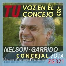 Nelson Garrido Concejal 2021