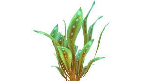 It is easy to grow plants in your tank once you get the hang of it. Summer Flower Background 1920 1080 Transprent Png Free Download Freshwater Aquarium Plant Aquarium Decor Cleanpng Kisspng