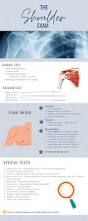 Image result for Shoulder Exam
