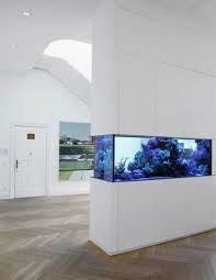 Aquarium 9 In 2020 Wall Aquarium Fish Tank Wall Amazing Aquariums