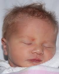 Pray for Thailand Family & General News