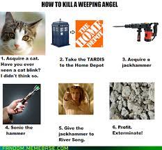 Cats Rule Doctor Whovian Doctor Who