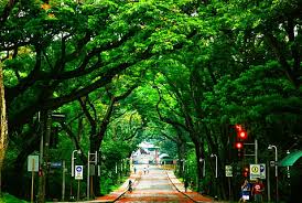 Check spelling or type a new query. Hd Wallpaper Philippines Quezon City University Of The Philippines Diliman Wallpaper Flare