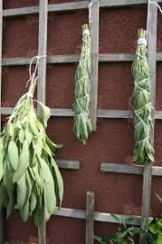 Bumper Crop Make A Sage Smudge Decoration Sante Bien Etre